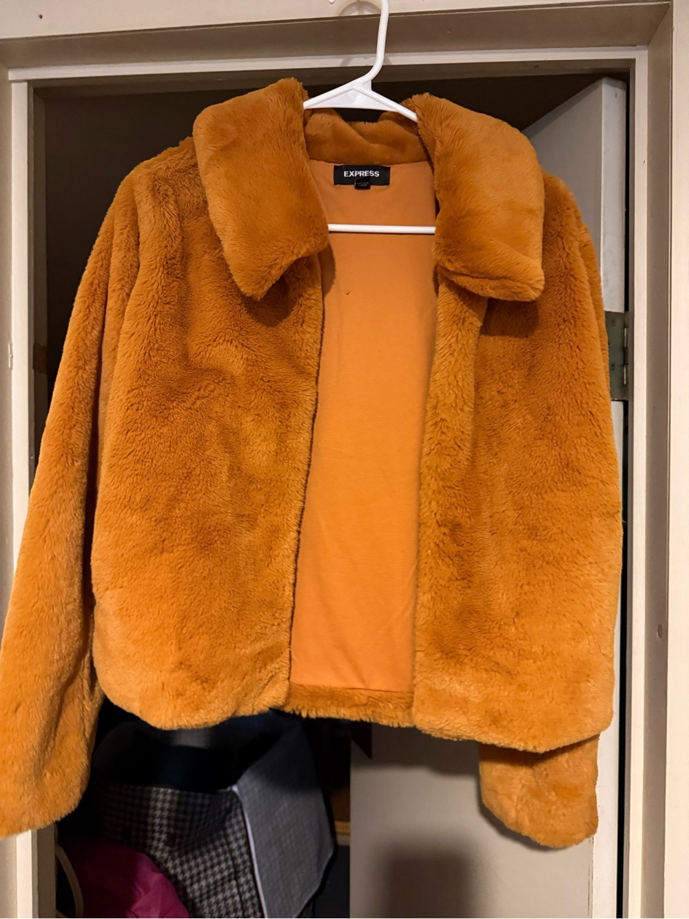 Express Women's Faux Fur Jacket